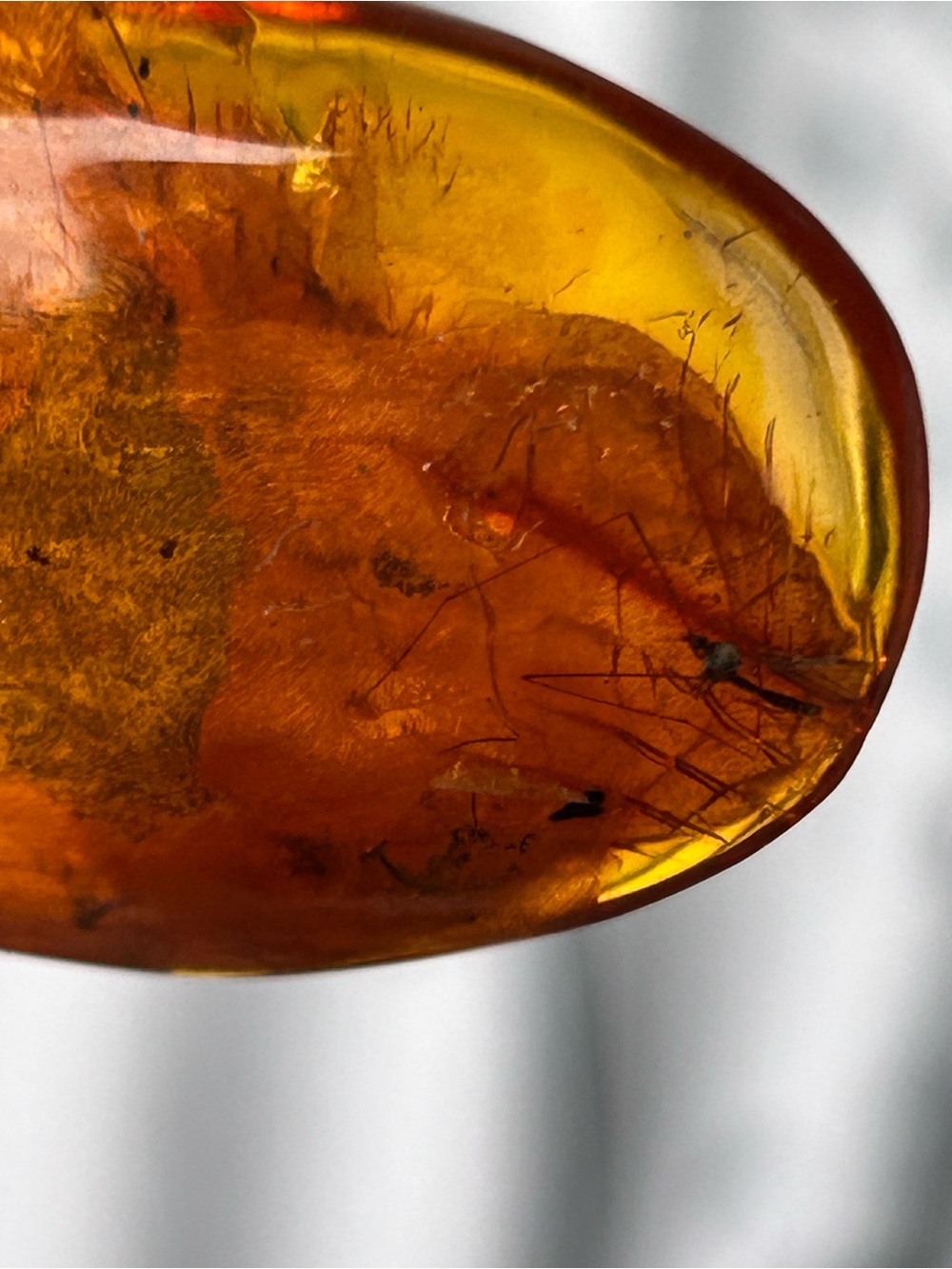 Poland Vintage Baltic Amber Insect Fossil Inclusion Huge Teardrop Pendant - Picture 15 of 17